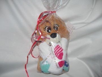 cadeau pakket  leeuw